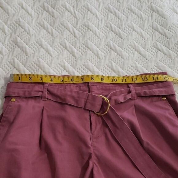Loft.  Pleated Dusty Pink Shorts; 4 Cargo Pockets; Cinched Belt. Size 2. EUC - Picture 9 of 10